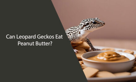 Can Leopard Geckos Eat Peanut Butter?