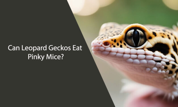 Can Leopard Geckos Eat Pinky Mice?