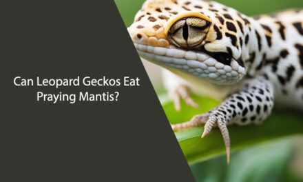 Can Leopard Geckos Eat Praying Mantis?