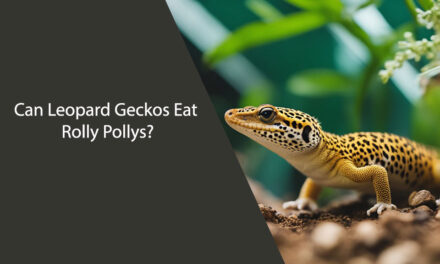 Can Leopard Geckos Eat Rolly Pollys?