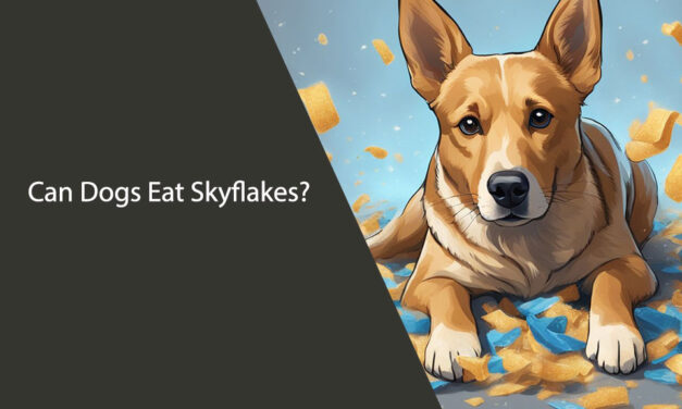 Can Dogs Eat Skyflakes? – Safe Snacks for Your Pet