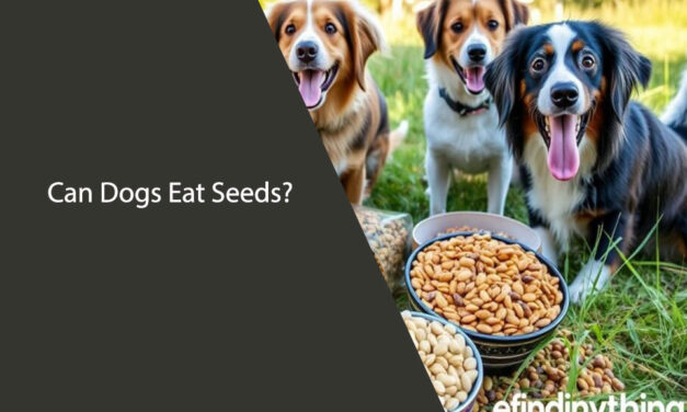 Can Dogs Eat Seeds: A Guide to Safe Seed Options