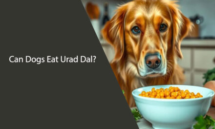 Can Dogs Eat Urad Dal – Safe or Toxic for Your Pet