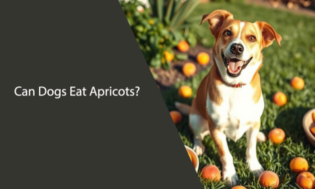 Can Dogs Eat Apricots? What You Need to Know