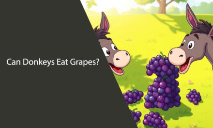 Can Donkeys Eat Grapes? What You Need to Know