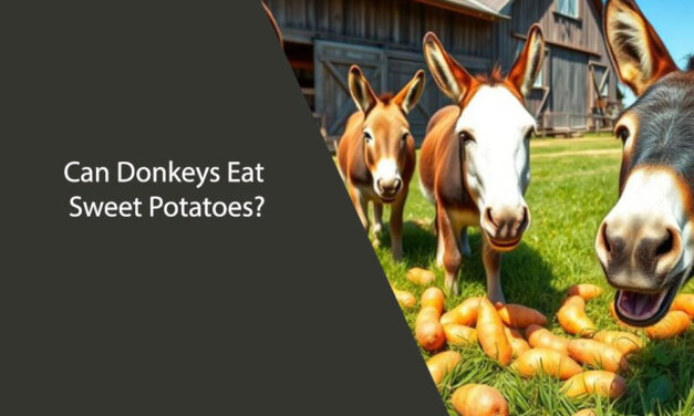 Can Donkeys Eat Sweet Potatoes? A Guide for Pet Owners