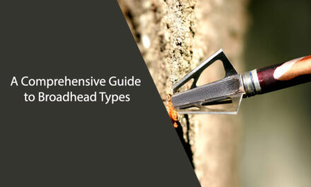 A Comprehensive Guide to Broadhead Types