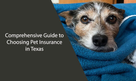 Comprehensive Guide to Choosing Pet Insurance in Texas