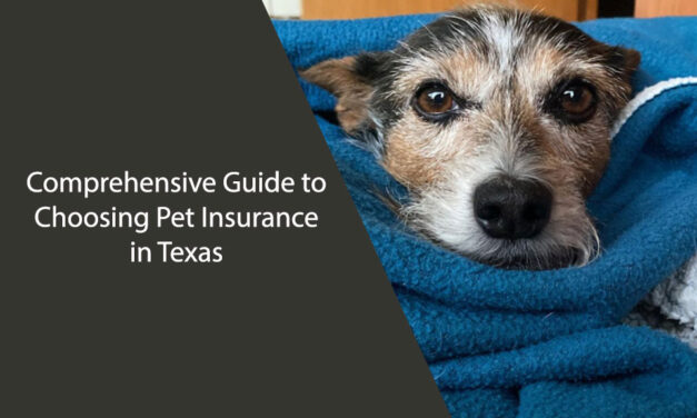 Comprehensive Guide to Choosing Pet Insurance in Texas