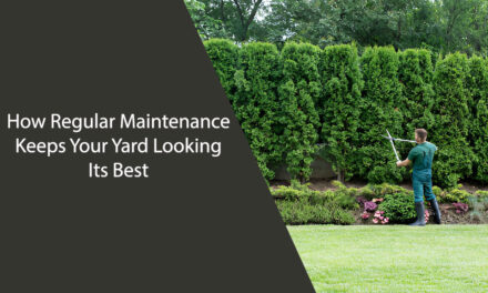 How Regular Maintenance Keeps Your Yard Looking Its Best