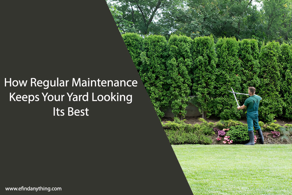 How Regular Maintenance Keeps Your Yard Looking Its Best