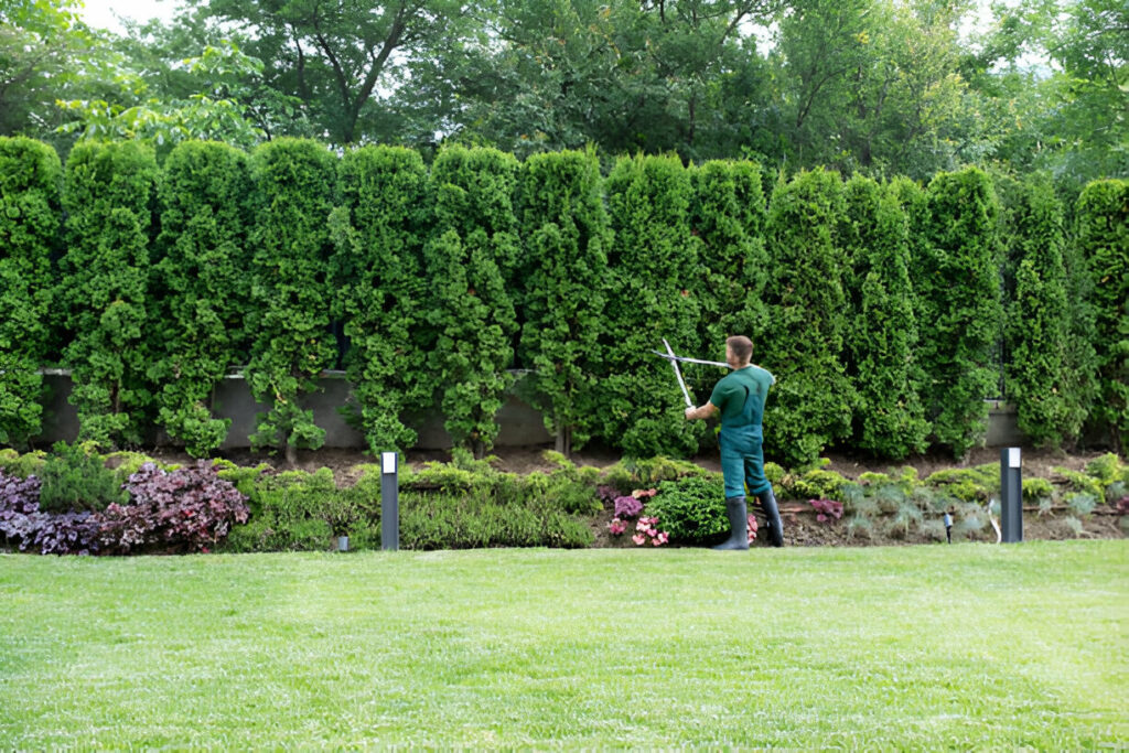 How Regular Maintenance Keeps Your Yard